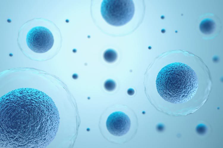 Tế bào gốc trung mô – nguồn bảo hiểm sinh học toàn diện cho tương lai